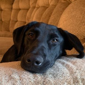 Meet your Posher, Micayla